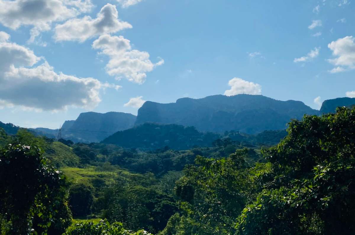 a photo of a flat-topped forested mountain rising above green coffee-covered hills, Los Tuxtlas, Veracruz, Mexico, photo by Next Level of Travel