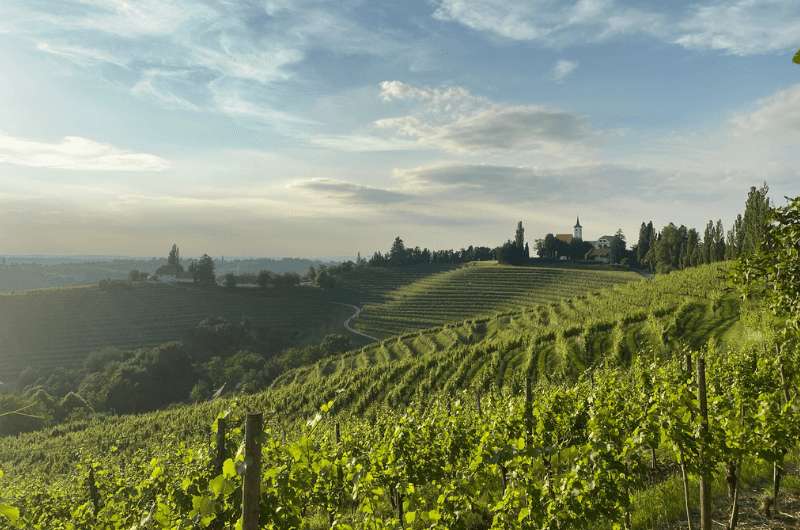 Lyrarakis Winery in Crete