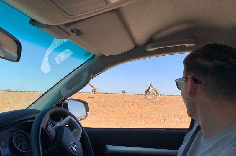 Drive through Etosha National Park, Namibia