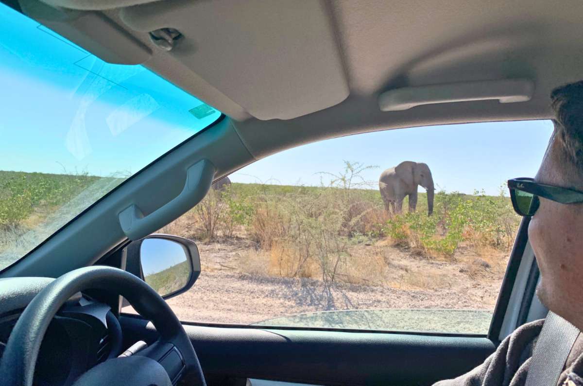 Elephant seen from car during self-drive safari in Etosha National Park, Namibia, photo by Next Level of Travel 