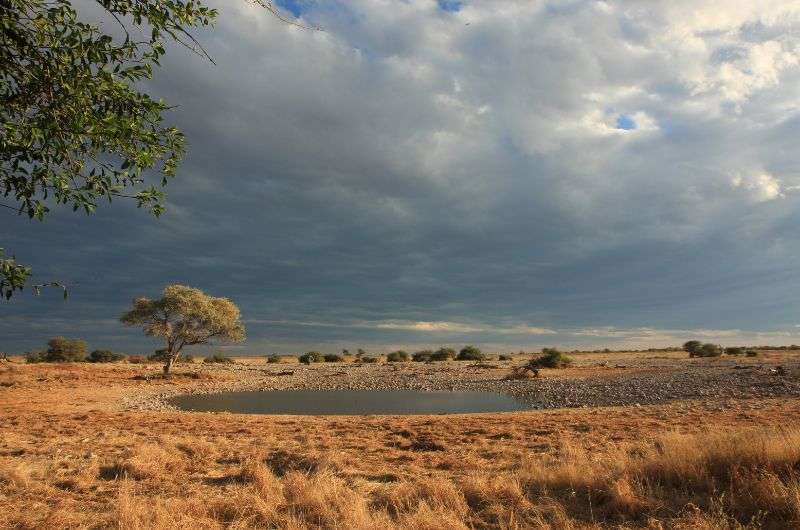 Etosha National Park, Namibia