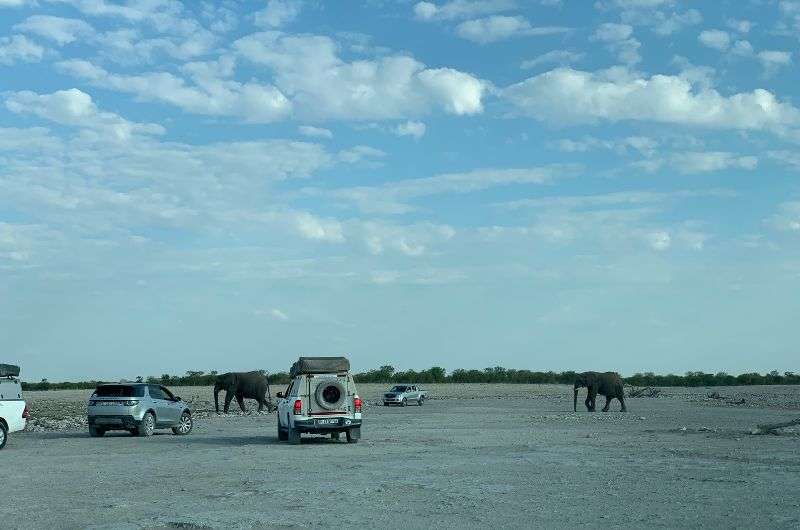 Visiting Etosha National Park, Namibia 