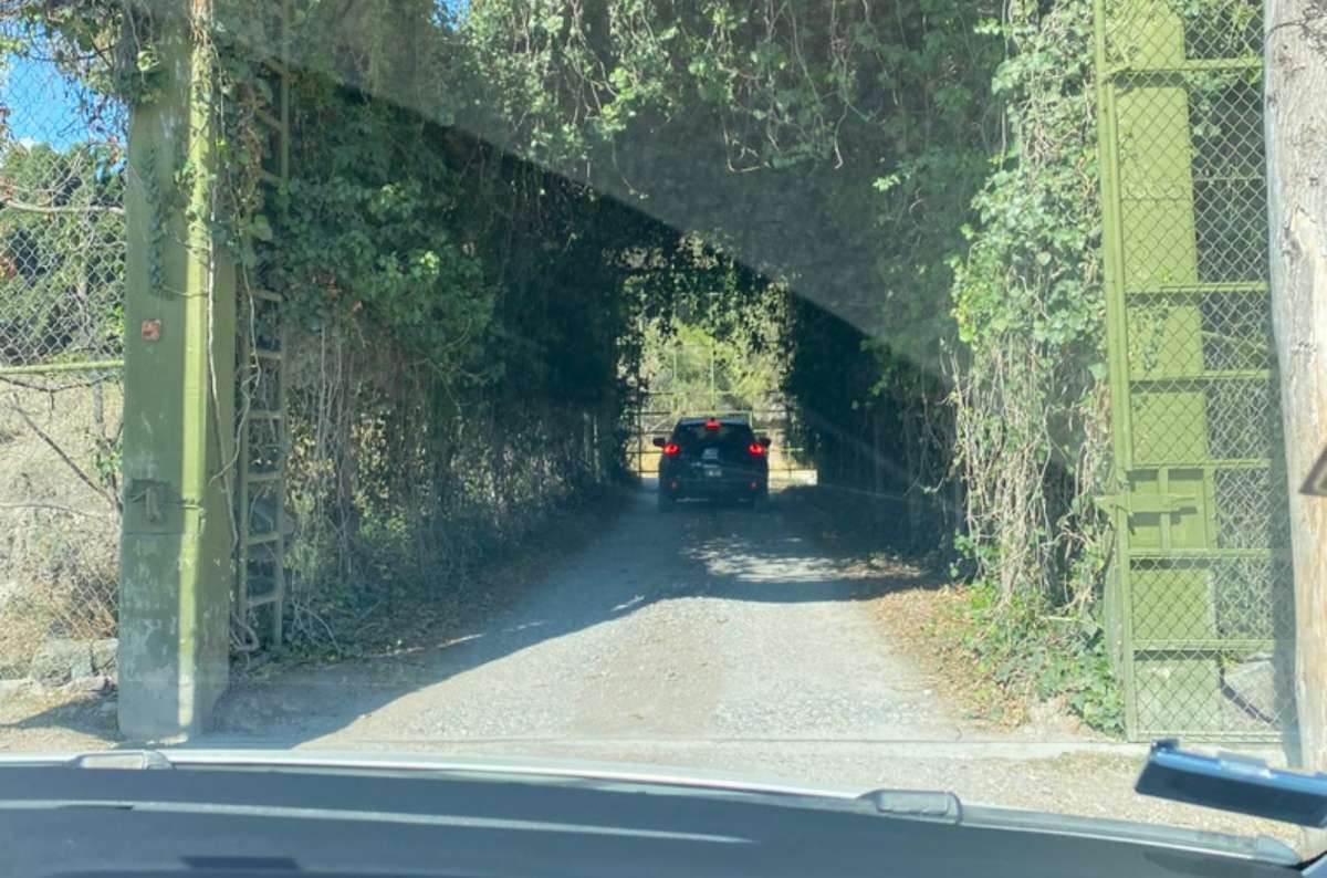 a photo of a car driving through an overgrown, fenced gate on the drive-through route of a safari park, Mexico, photo by Next Level of Travel