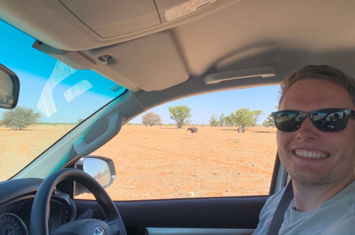 a photo of a tourist driving through the Namibian bush with ostriches visible outside the car window, Namibia, photo by Next Level of Travel