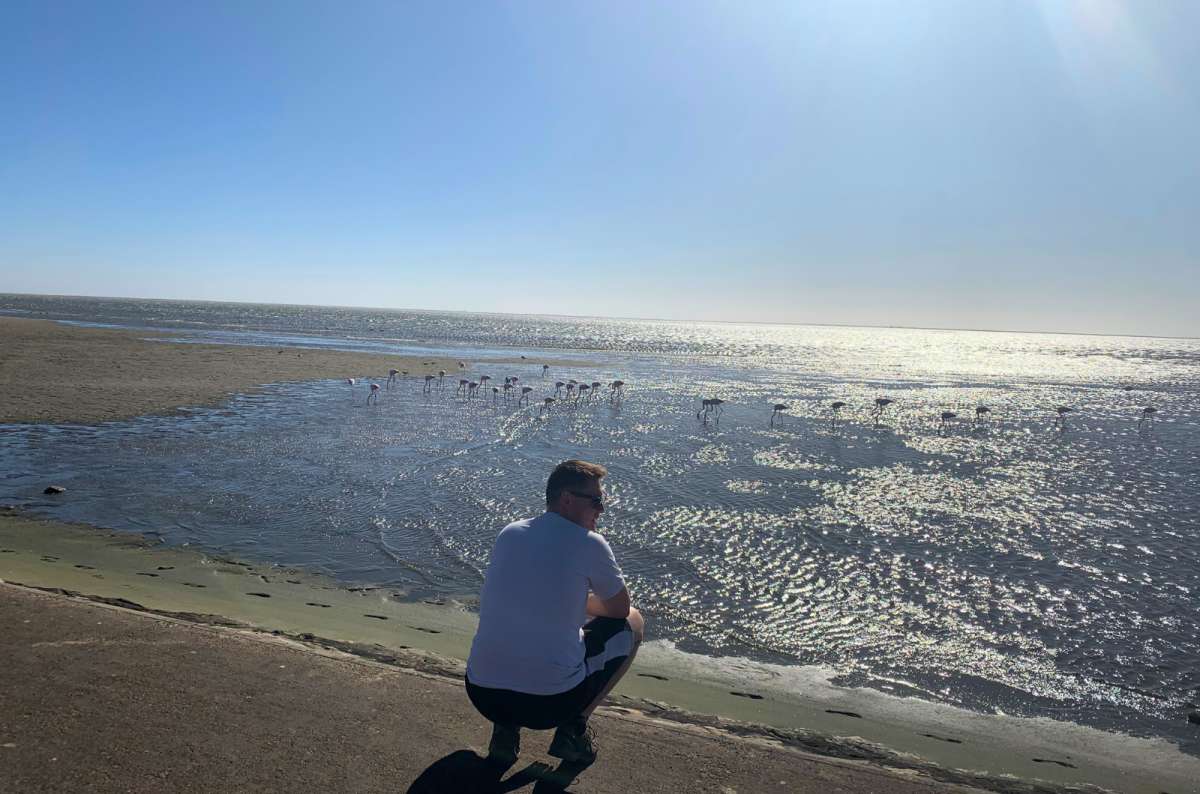Atlantic Ocean coastline in Namibia with small waves, flamingoes, and a person by the water, photo by Next Level of Travel