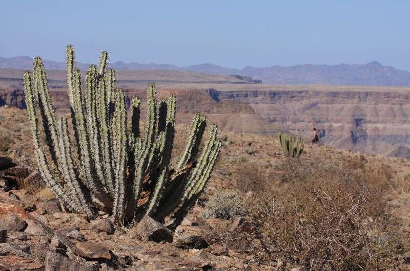 Fish River Canyon hike in Namibia