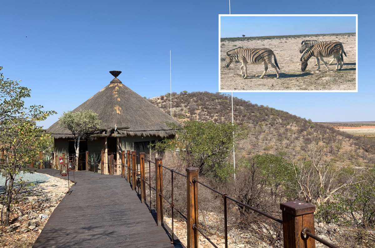 Luxury safari lodge with thatched-roof hut and wooden walkway overlooking dry hills in Namibia, with zebras spotted in the wild, photo by Next Level of Travel