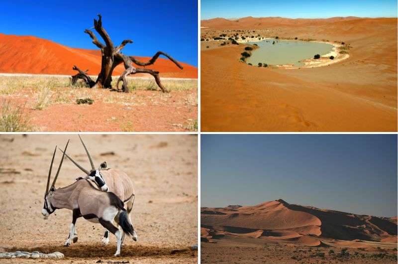 Namib Naukluf National Park and Sossusvlei in Namibia