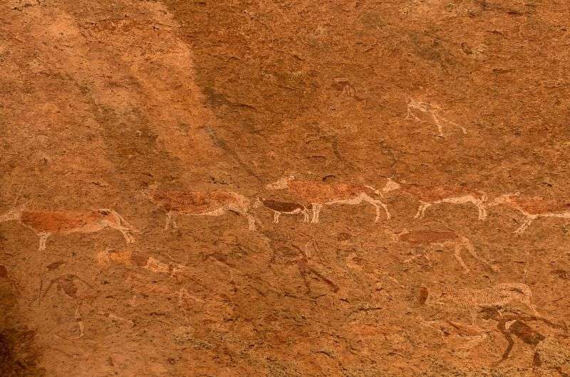Rock paintings in the Brandberg Massive, Namibia