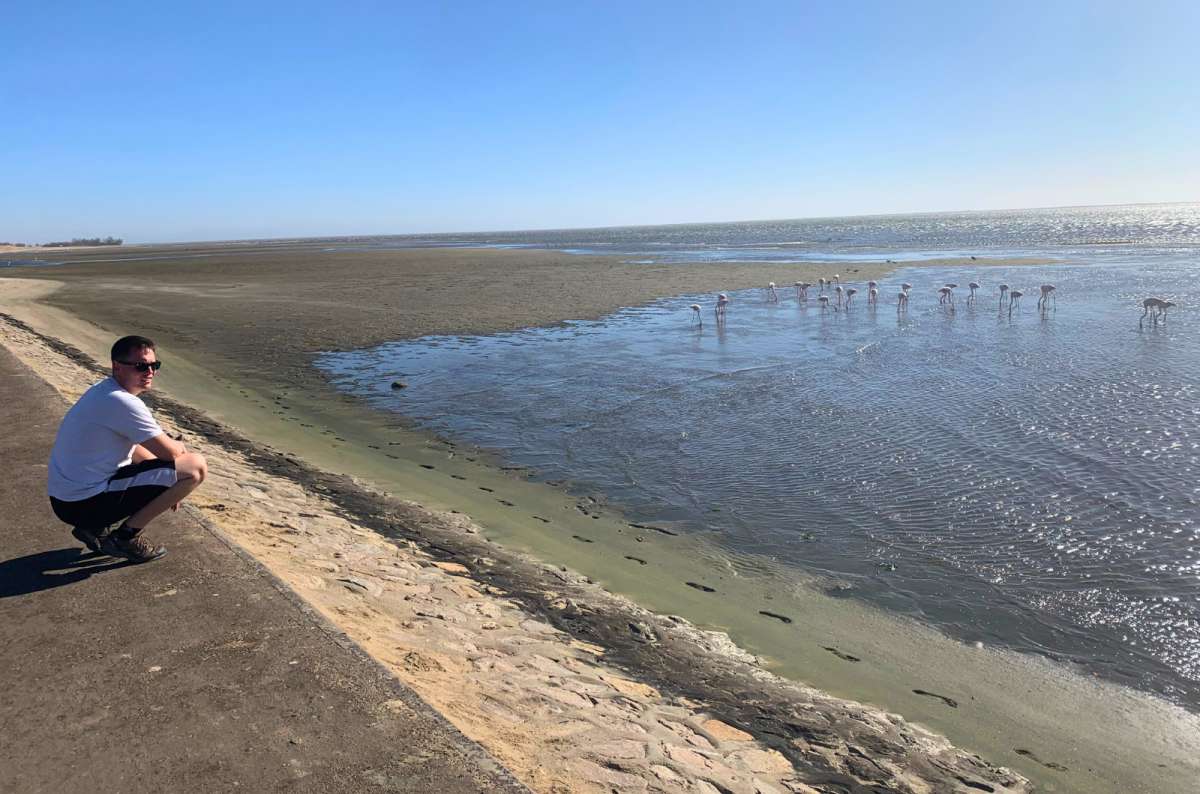 Tourist crouching by a coastal lagoon with flamingos in shallow water near Walvis Bay, Namibia, photo by Next Level of Travel