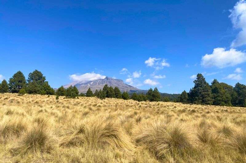 Izta Popo National Park in Mexico, photo by Next Level of Travel