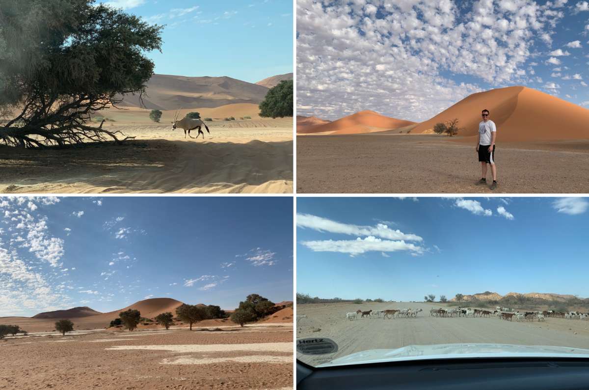 a collage of photos showing all the activities that can be done in Sossusvlei and Deadvlei, Namibia, photo by Next Level of Travel