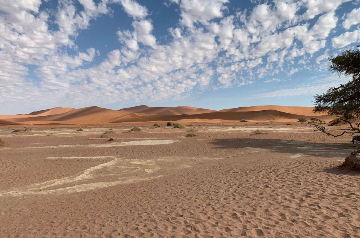 a photo of Namib Desert, Sossusvlei, showing the various dunes towering in the background, Namibia, photo by Next Level of Travel