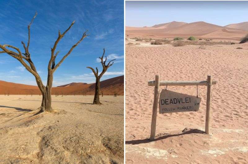 Deadvlei in Sossusvlei, road sign and scorched trees, Namibia