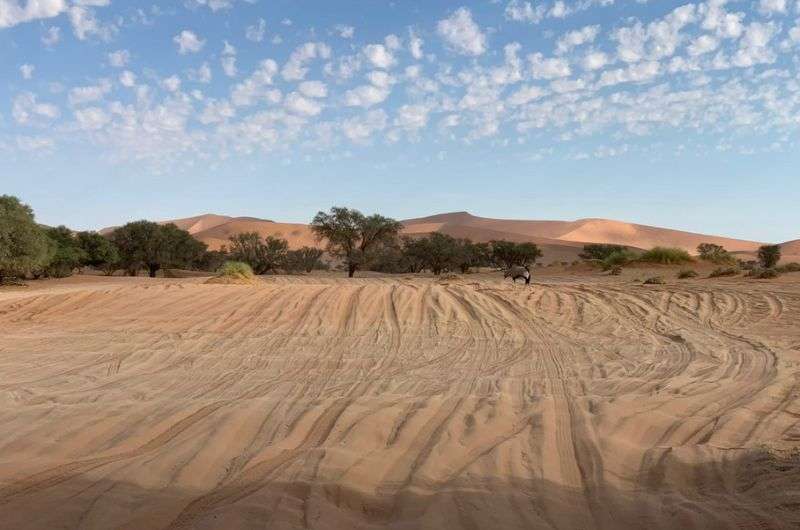 Sand road to Deadvlei in Namibia Sossusvlei