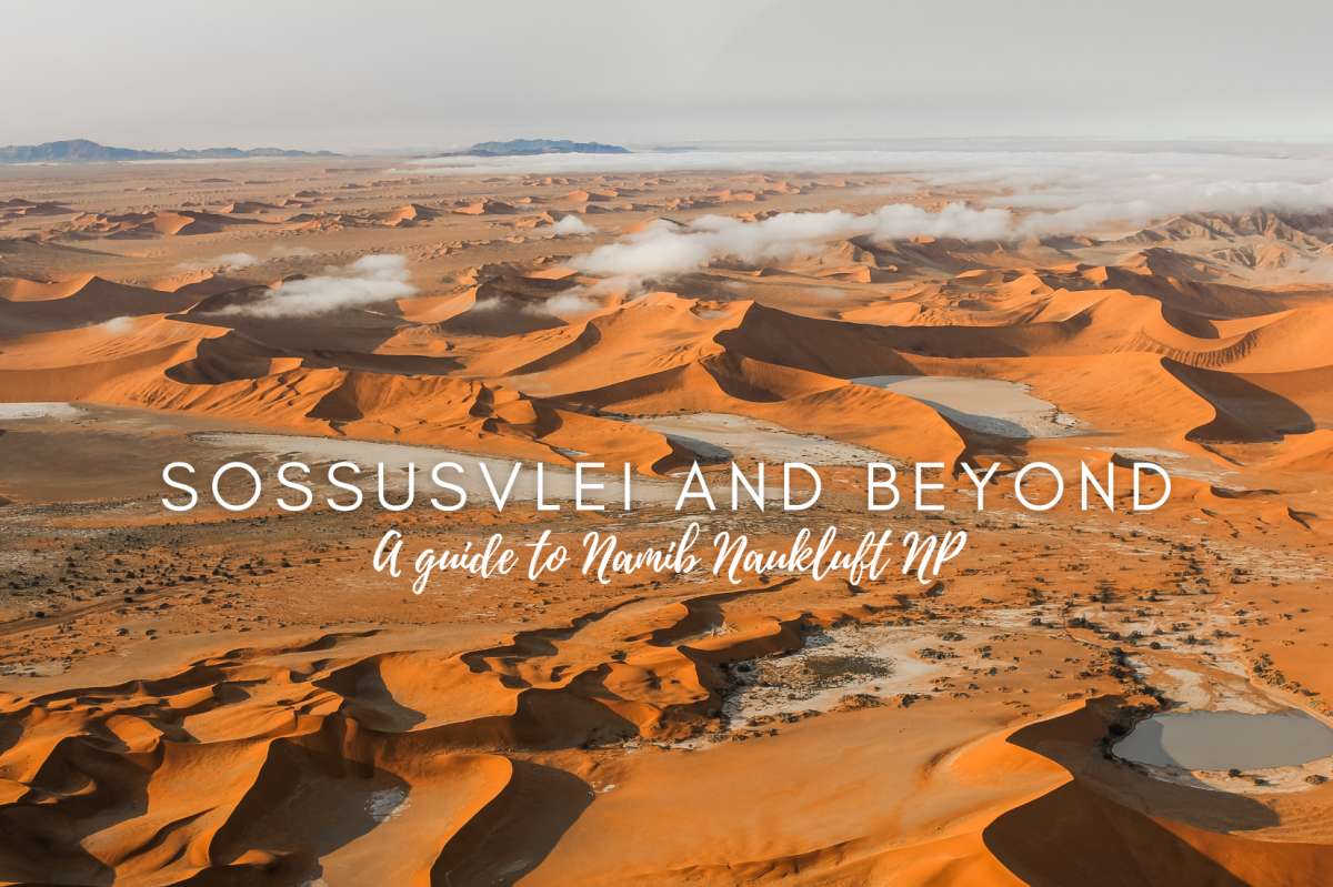 Sossusvlei and Beyond: A Complete Guide to Namib Naukluft NP
