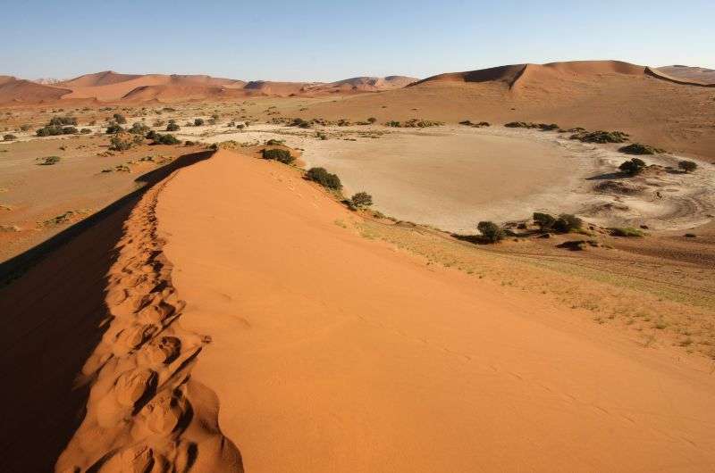 Vleis in Sossusvlei, Namibia