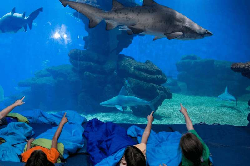 Palma Aquarium in Palma de Mallorca, Spain