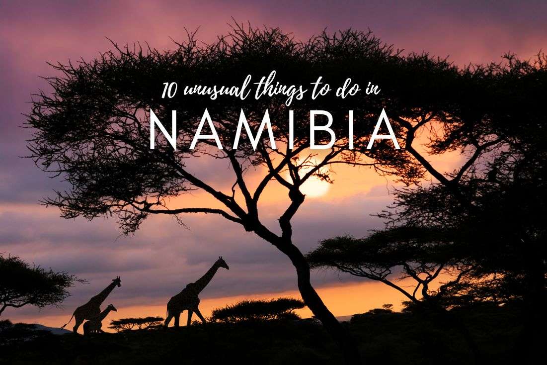 Beyond the Safari: 10 Unusual Things to Do in Namibia