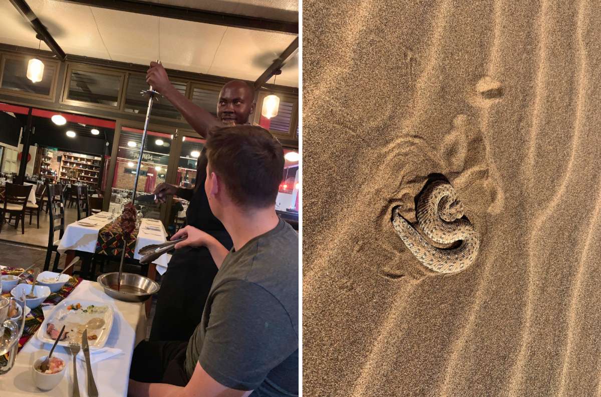 Restaurant dining experience and snake in desert sand in Namibia, Namibia, photo by Next Level of Travel