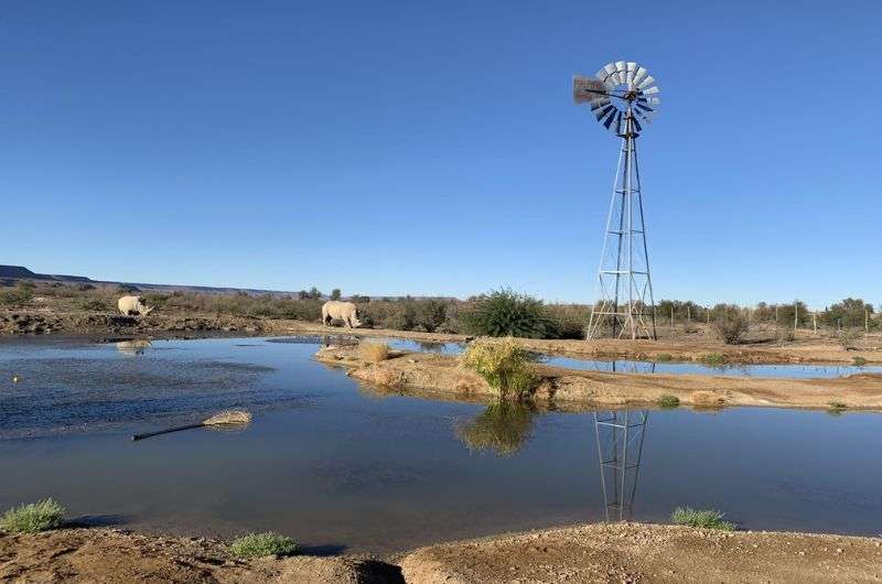 View from the window at rhinos at the watering hole at Burgsdorg Guest Farm, Namibia