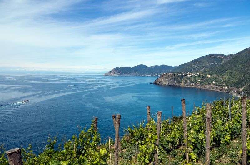 Via Beccara hike in Cinque Terre, Italy