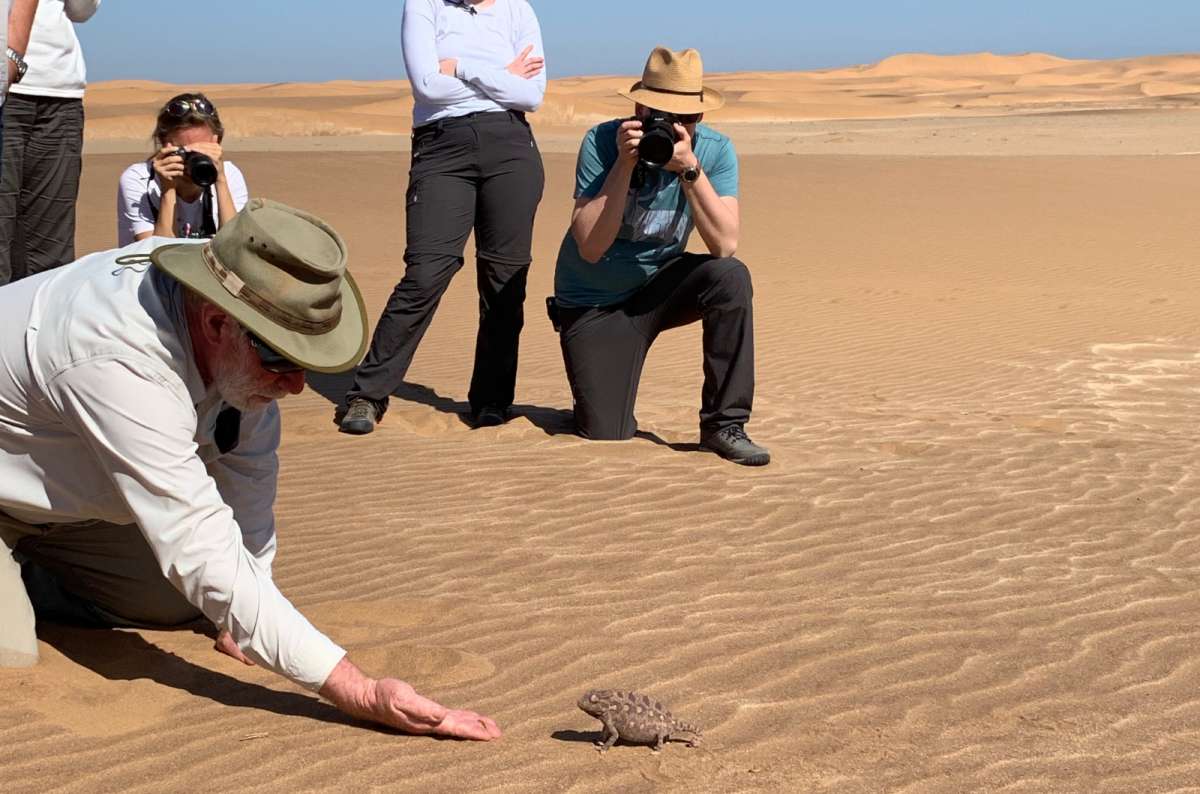 a photo of tourists on a Living Desert Tour near Swakopmund in Namibia, gathered around a small lizard on the sand dunes, photo by Next Level of Travel
