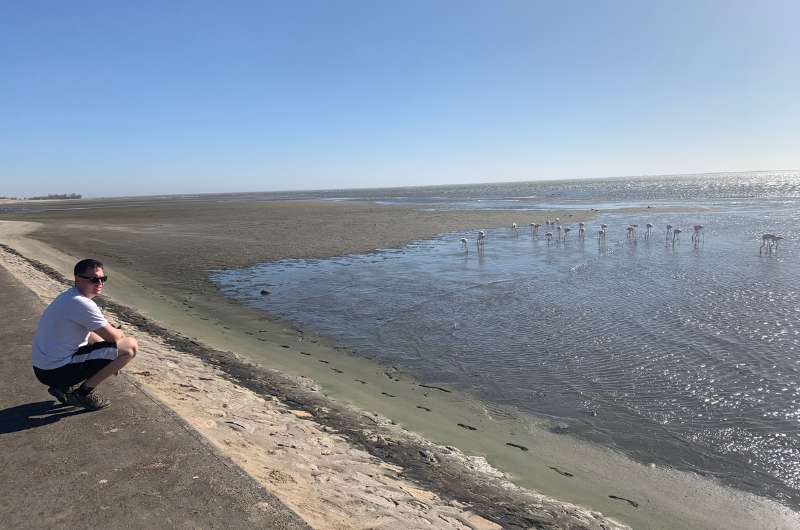 Watching flamingos at Walvis Bay, Namibia