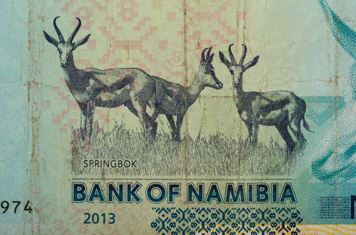 a photo of a bank note of the Namibian Dollar