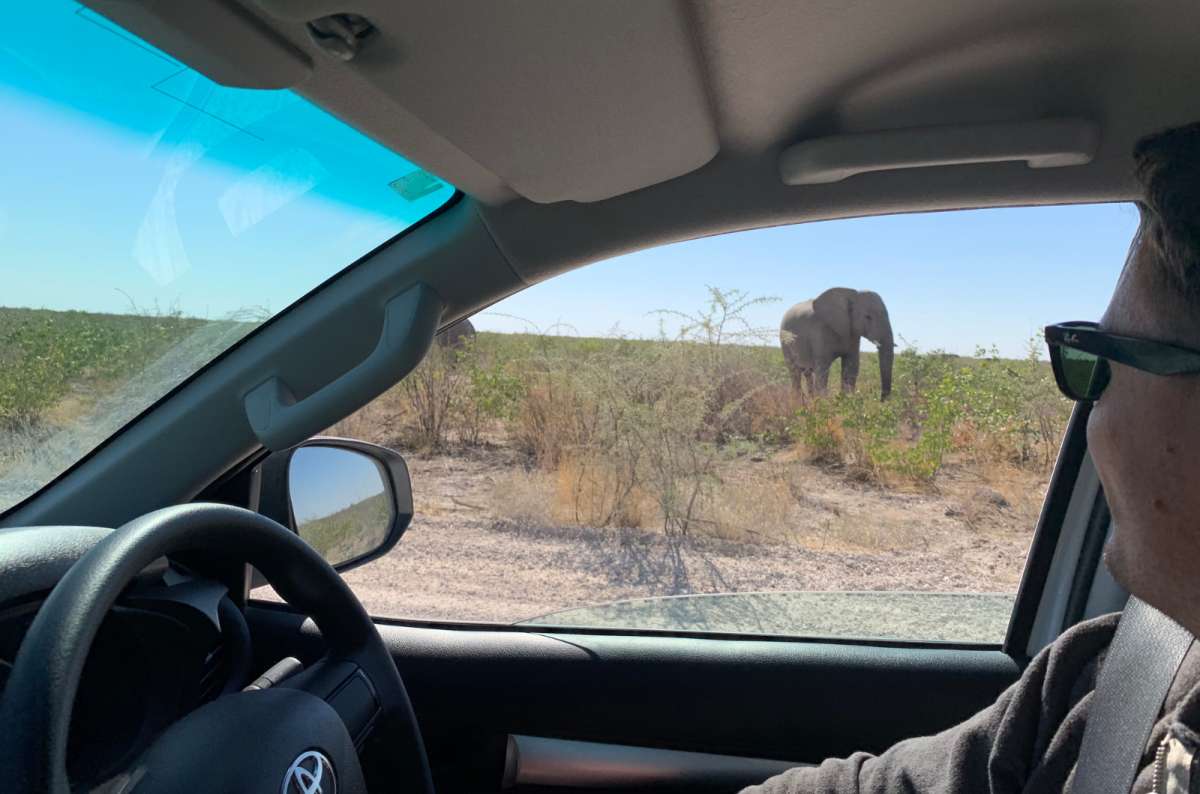 Spotting animals while driving through Etosha National Park in Namibia