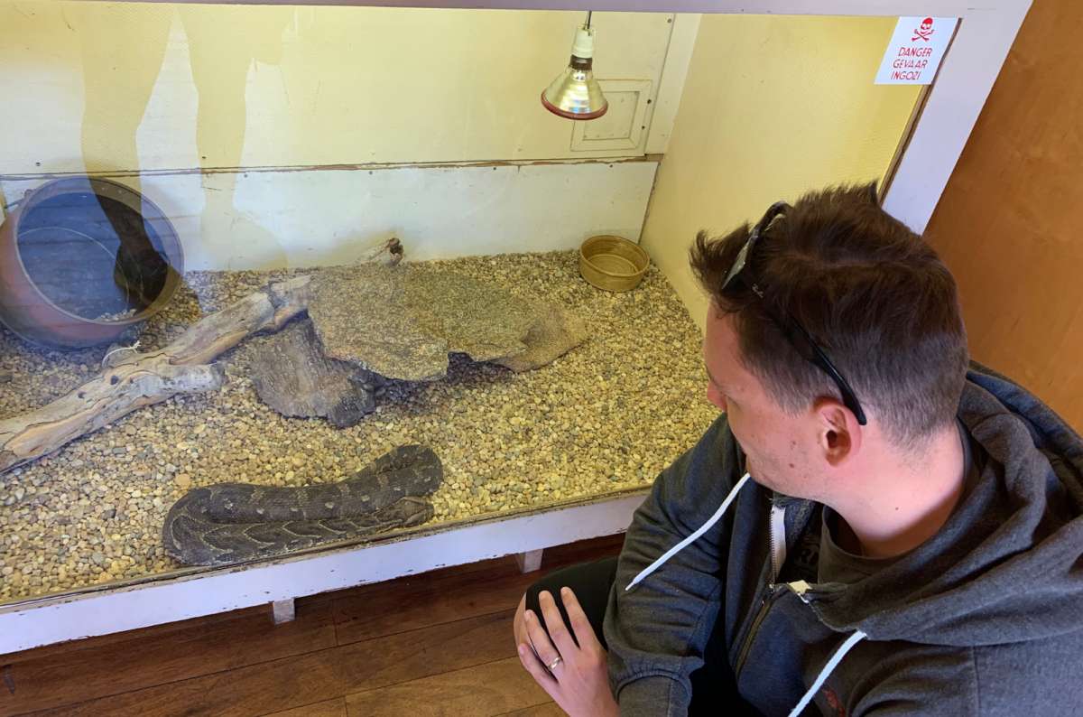 Visiting the Snake Park in Swakopmund, Namibia
