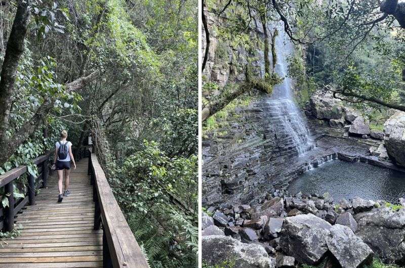 Graskop Gorge Forrest Trail—Panorama Route, South Africa