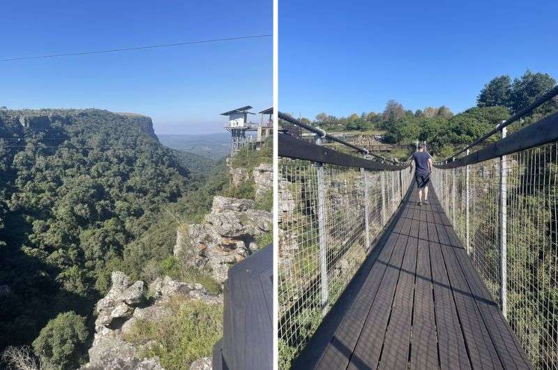 The Graskop Gorge forest trail and zipline, Panorama Trail