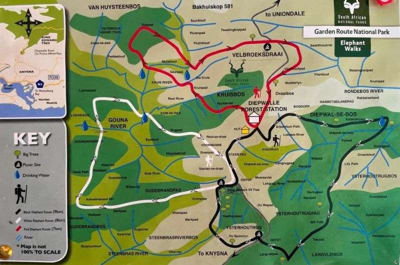 A map showing the three Elephant Walks in Diepwalle, Knysna Forest, Garden Route highlights, South Africa