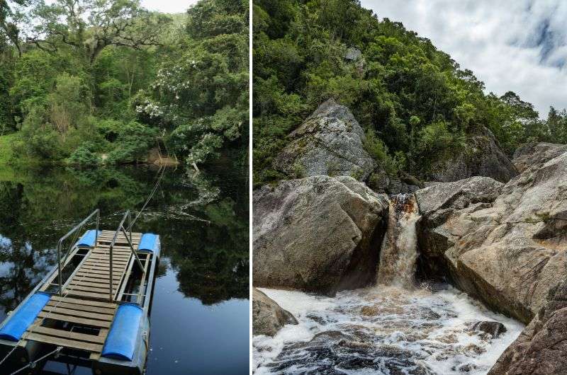 Half Collared Kingfisher Trail in Wilderness National Park on Garden Route, South Africa