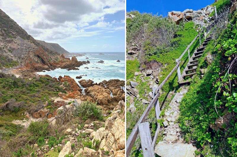 Portions of the Kranshoek Coastal Trail on the Garden Route in South Africa