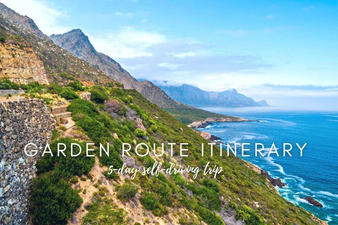 5 Day Garden Route Itinerary (with Addo Elephant Park) 