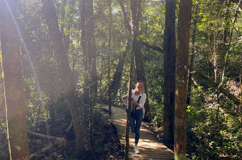 Big Tree Trail in Tsitsikamma National Park, Garden Route in South Africa