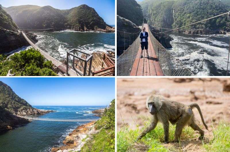 Storm River Mouth on Garden Route, South Africa