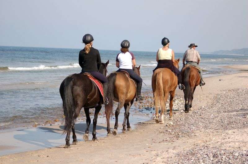 Horse-riding in Cozumel, Mexico