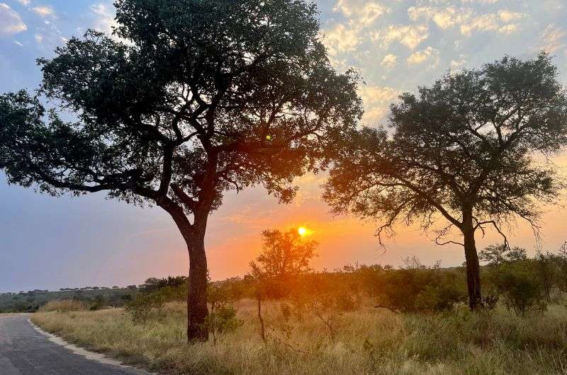 Sunset in Kruger National Park, South Africa