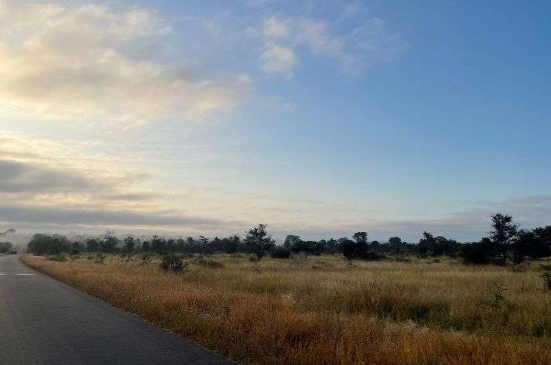 Visiting Kruger National Park, South Africa