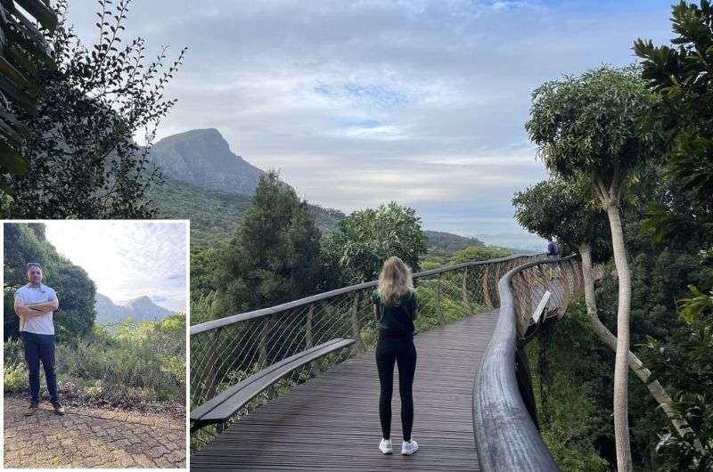 The Bloomslang Bridge with mountains in background in Kirstenbosch National Botanical Garden in Cape Town, South Africa 