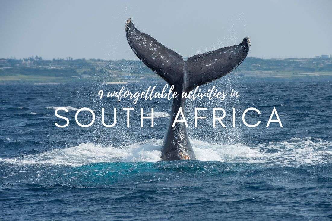 9 Unforgettable Activities in South Africa to Add to Your Bucket List