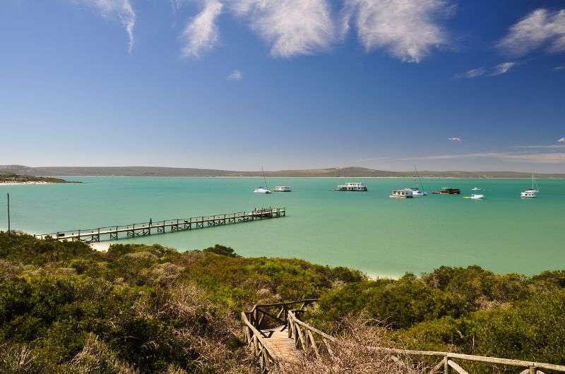West Coast National Park—one of the best day trips from Cape Town, South Africa