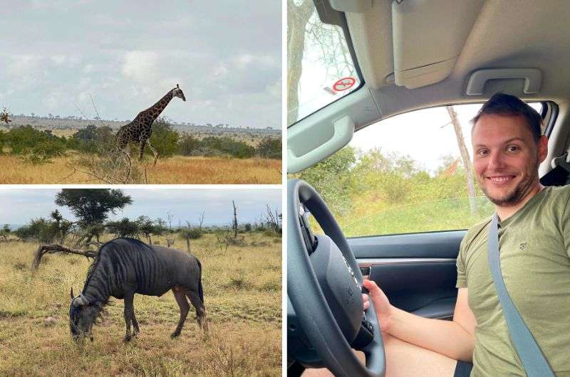 A tourist in Kruger National Park, South Africa