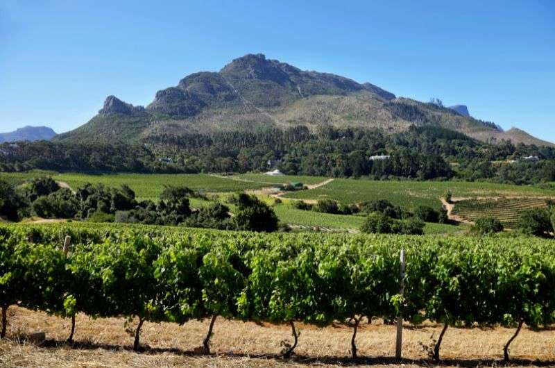 Constantia in Cape Town, South Africa