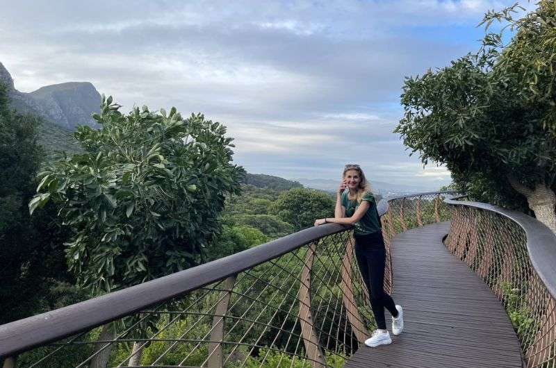 A tourist on the Boomslang bridge in Kirstenbosch National Botanical Garden, Cape Town, South Africa