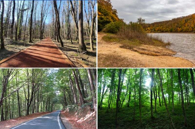 Belgrad Forest near Istanbul, Turkey