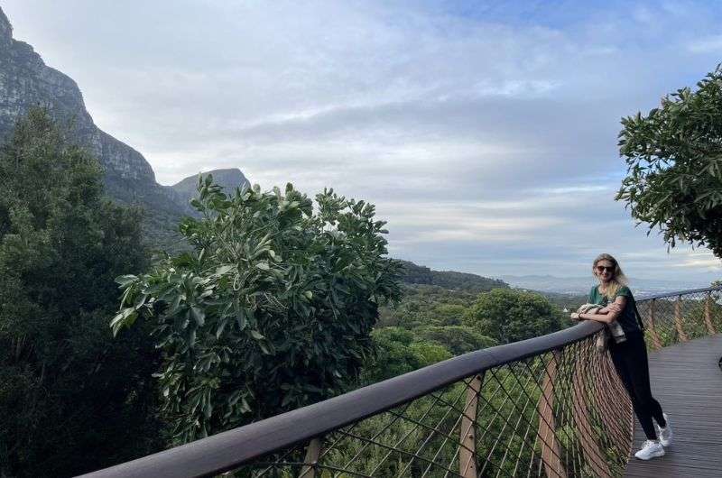 Walking on the Boomslang Bridge at Kirstenbosch National Botanical Garden in Cape Town